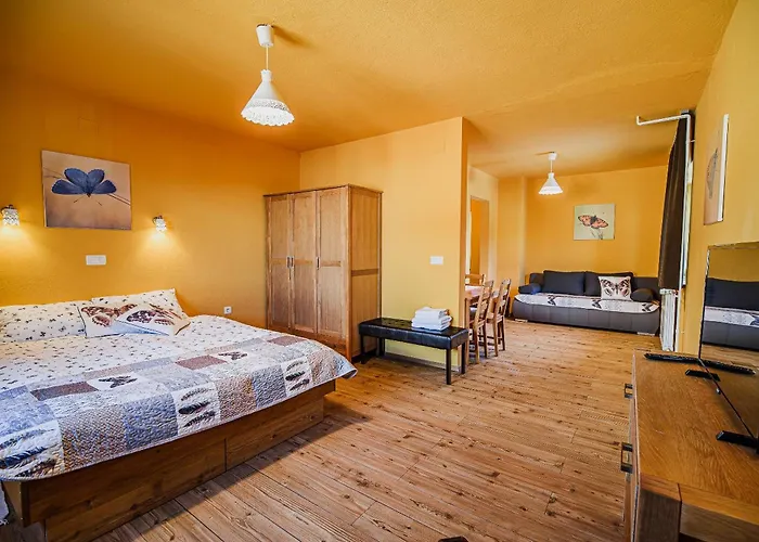 House Anckin Kot Cerknica